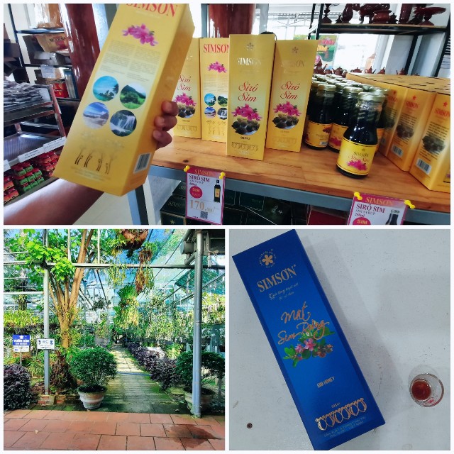 f:id:A-hanoi:20220205211742j:image