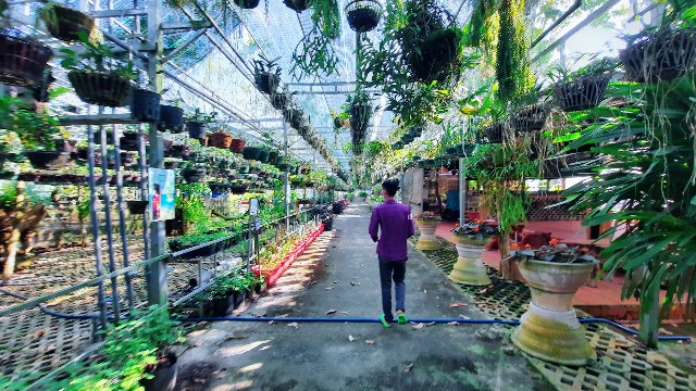 f:id:A-hanoi:20220205212013j:image