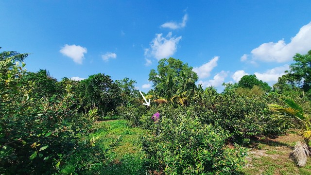 f:id:A-hanoi:20220205212203j:image