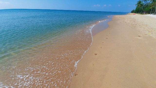 f:id:A-hanoi:20220205233619j:image