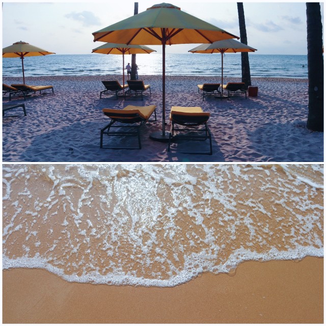 f:id:A-hanoi:20220205233733j:image