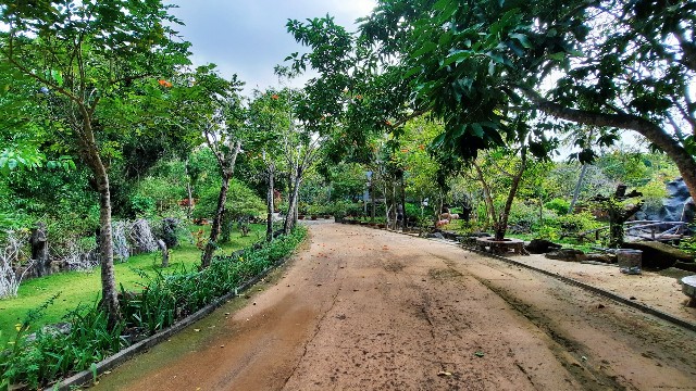 f:id:A-hanoi:20220206004354j:image