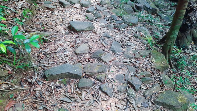 f:id:A-hanoi:20220206004719j:image
