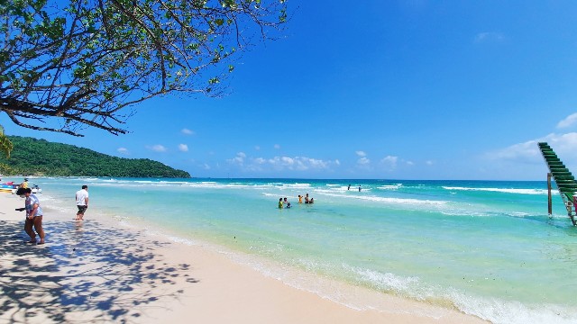 f:id:A-hanoi:20220206153844j:image