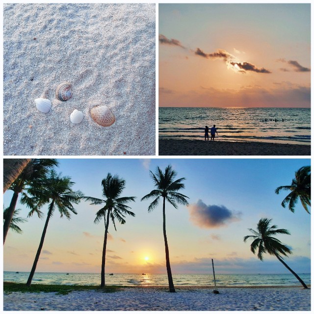 f:id:A-hanoi:20220210082133j:image