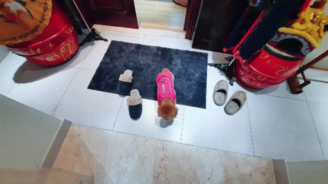 f:id:A-hanoi:20220301114521j:image