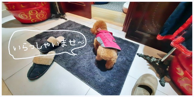 f:id:A-hanoi:20220301114743j:image