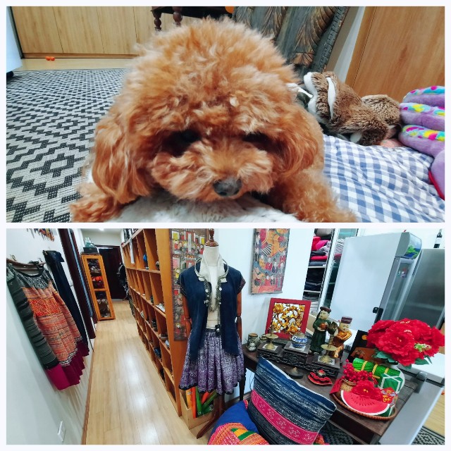 f:id:A-hanoi:20220301114807j:image