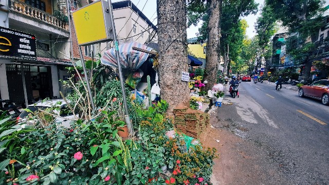 f:id:A-hanoi:20220305224150j:image
