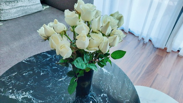 f:id:A-hanoi:20220308225107j:image
