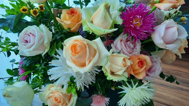 f:id:A-hanoi:20220309092242j:image