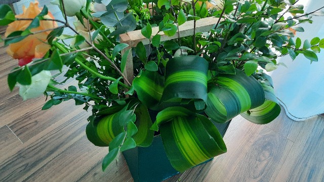 f:id:A-hanoi:20220309093548j:image