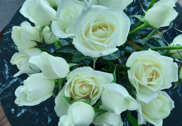 f:id:A-hanoi:20220309093754j:image