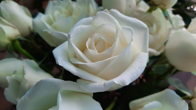 f:id:A-hanoi:20220309094145j:image
