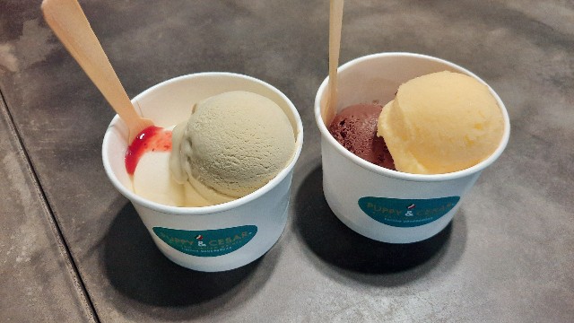 f:id:A-hanoi:20220521112948j:image