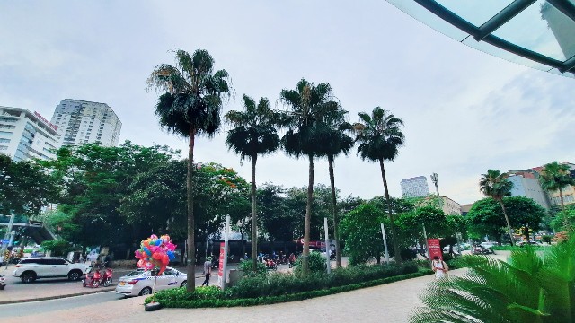 f:id:A-hanoi:20220606194430j:image