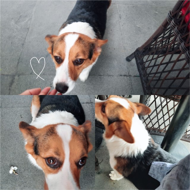 f:id:A-hanoi:20220607162948j:image f:id:A-hanoi:20220607162948j:image