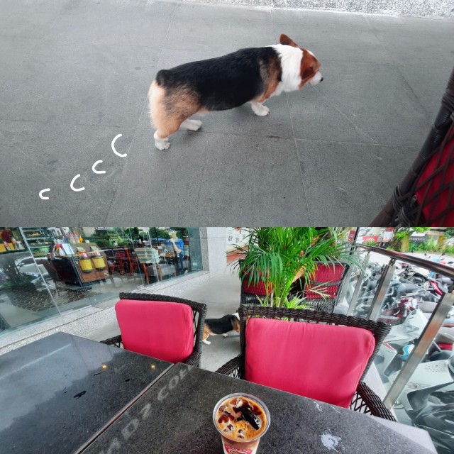 f:id:A-hanoi:20220607163056j:image f:id:A-hanoi:20220607163056j:image