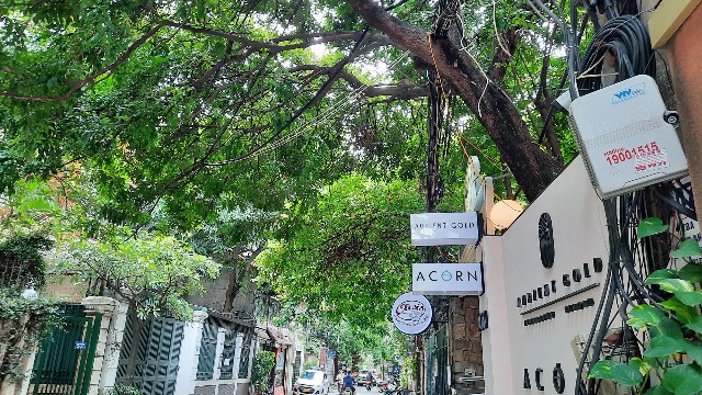 f:id:A-hanoi:20220616182329j:image f:id:A-hanoi:20220616182329j:image
