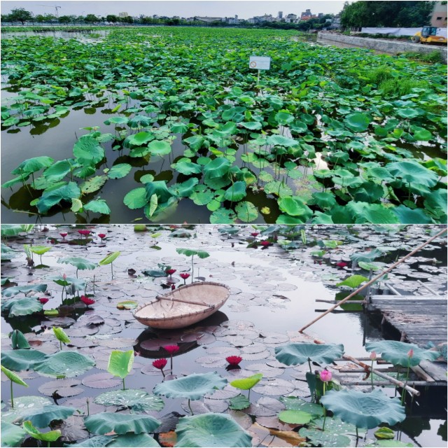 f:id:A-hanoi:20220617113121j:image f:id:A-hanoi:20220617113121j:image