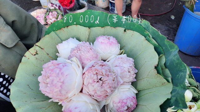 f:id:A-hanoi:20220624111404j:image f:id:A-hanoi:20220624111404j:image