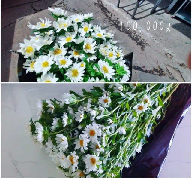 f:id:A-hanoi:20220625142040j:image f:id:A-hanoi:20220625142040j:image