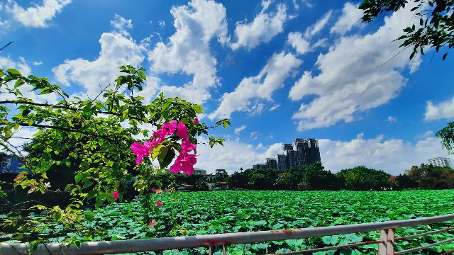 f:id:A-hanoi:20220628005203j:image