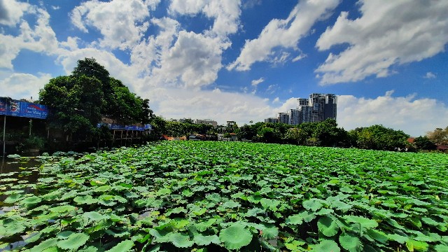 f:id:A-hanoi:20220628005213j:image