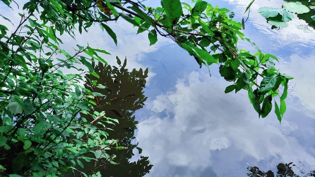 f:id:A-hanoi:20220628005307j:image