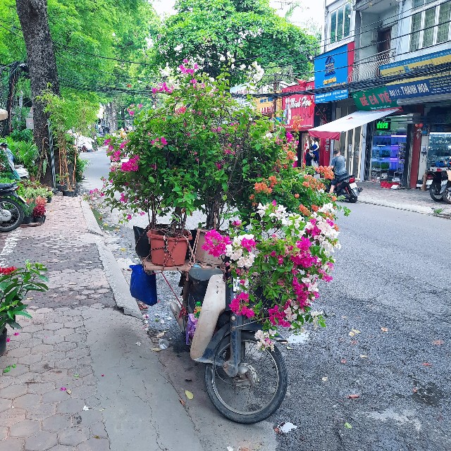 f:id:A-hanoi:20220701234223j:image f:id:A-hanoi:20220701234223j:image