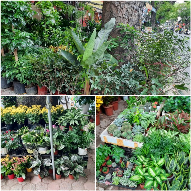 f:id:A-hanoi:20220701234244j:image f:id:A-hanoi:20220701234244j:image