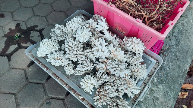 f:id:A-hanoi:20220701235126j:image f:id:A-hanoi:20220701235126j:image