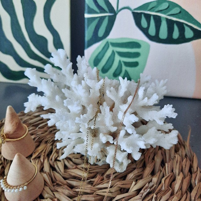 f:id:A-hanoi:20220702000629j:image f:id:A-hanoi:20220702000629j:image