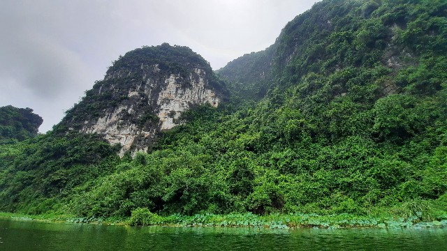 f:id:A-hanoi:20220711123219j:image