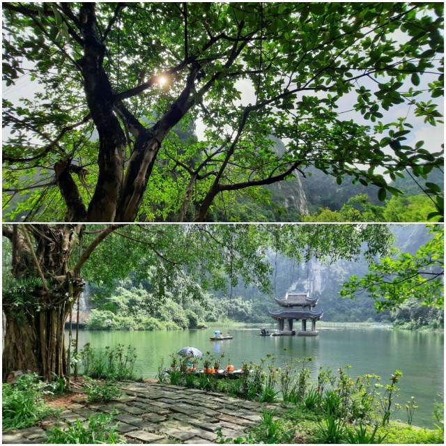 f:id:A-hanoi:20220711123504j:image