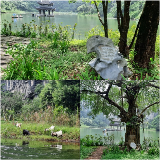 f:id:A-hanoi:20220711123521j:image