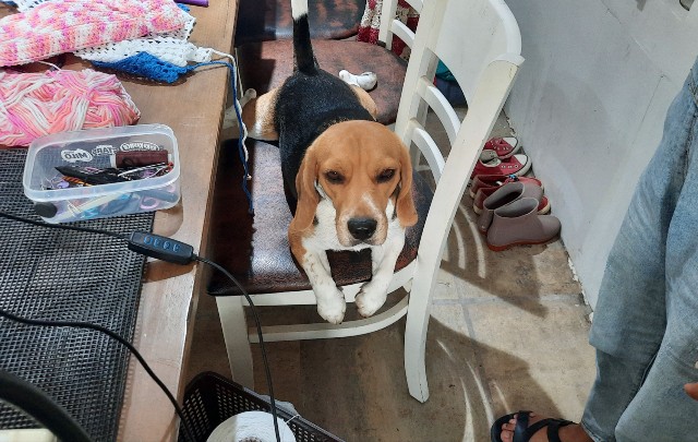 f:id:A-hanoi:20220805012052j:image