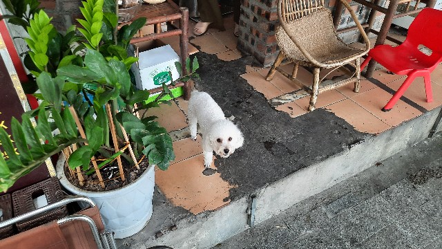 f:id:A-hanoi:20220821153449j:image