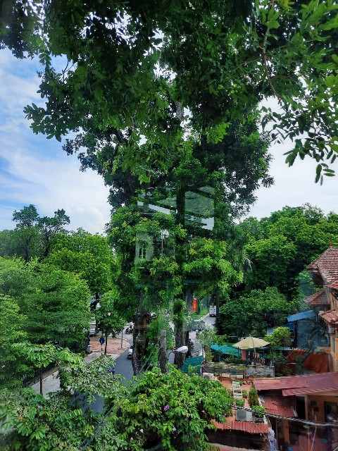 f:id:A-hanoi:20220826194555j:image