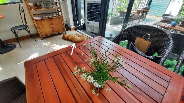 f:id:A-hanoi:20221010181940j:image