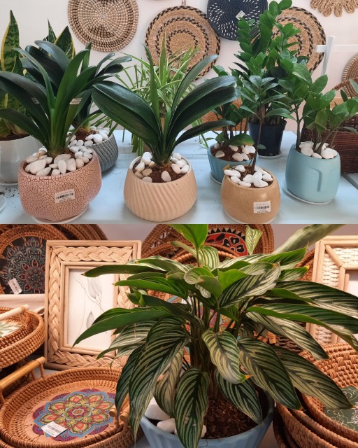 f:id:A-hanoi:20221013185932j:image f:id:A-hanoi:20221013185932j:image