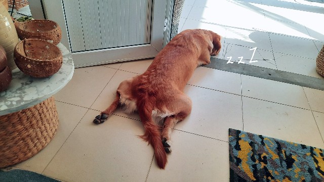 f:id:A-hanoi:20221013190500j:image f:id:A-hanoi:20221013190500j:image