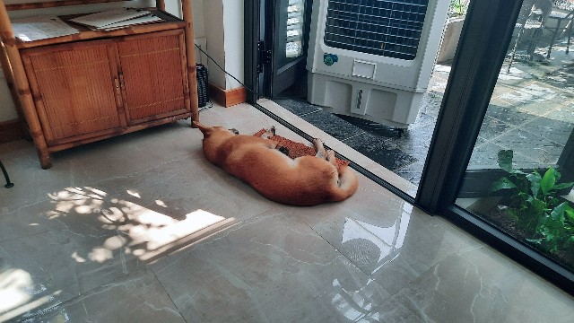 f:id:A-hanoi:20221015150010j:image f:id:A-hanoi:20221015150010j:image