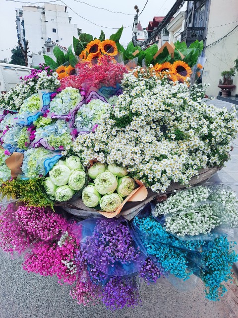 f:id:A-hanoi:20221019185757j:image f:id:A-hanoi:20221019185757j:image
