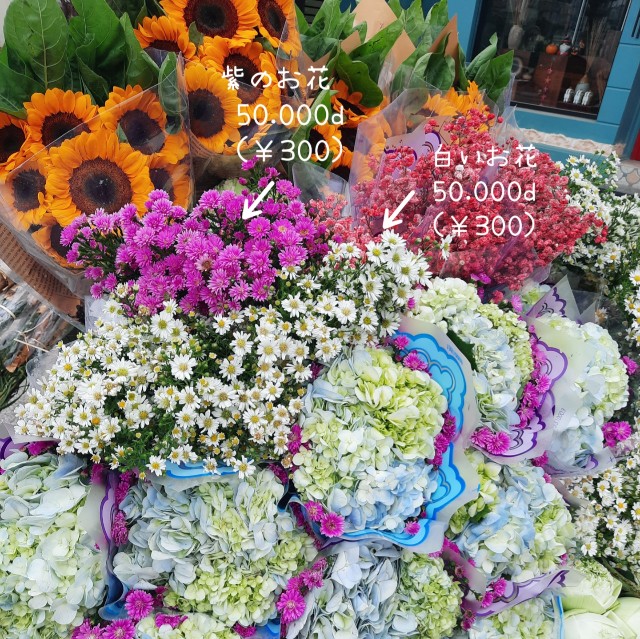 f:id:A-hanoi:20221019190043j:image f:id:A-hanoi:20221019190043j:image