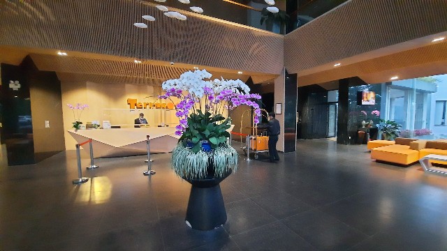 f:id:A-hanoi:20221108132351j:image