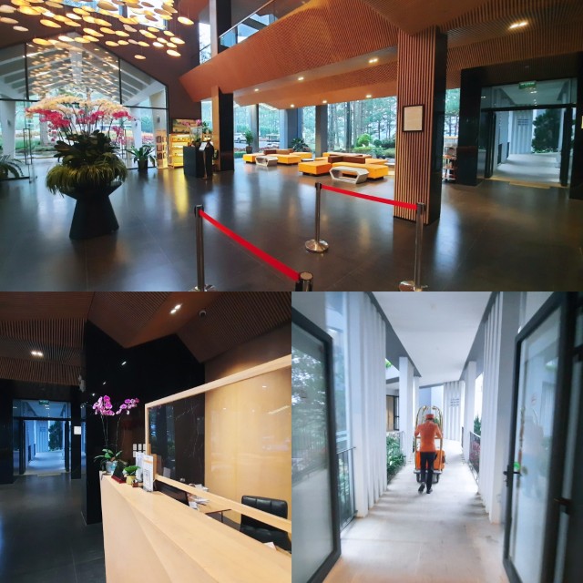 f:id:A-hanoi:20221108132417j:image