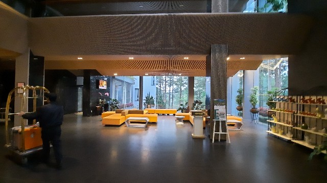 f:id:A-hanoi:20221108132425j:image