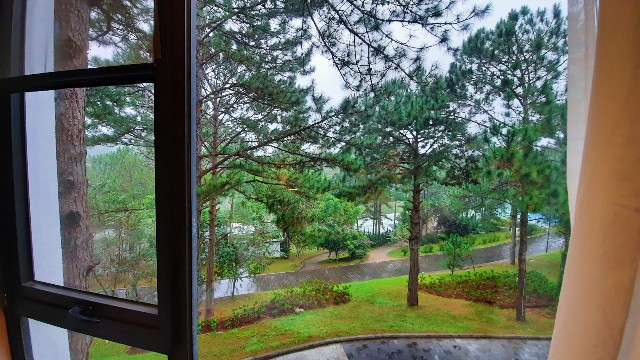 f:id:A-hanoi:20221108133016j:image