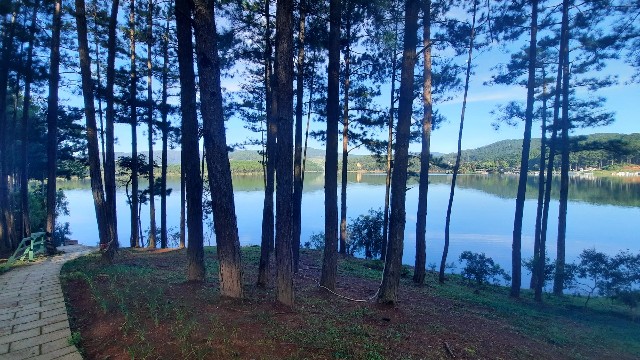 f:id:A-hanoi:20221108160537j:image f:id:A-hanoi:20221108160537j:image